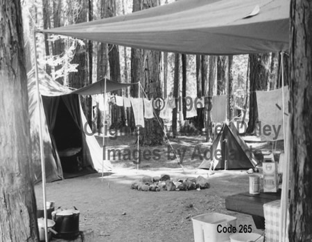 Pinecrest Camping